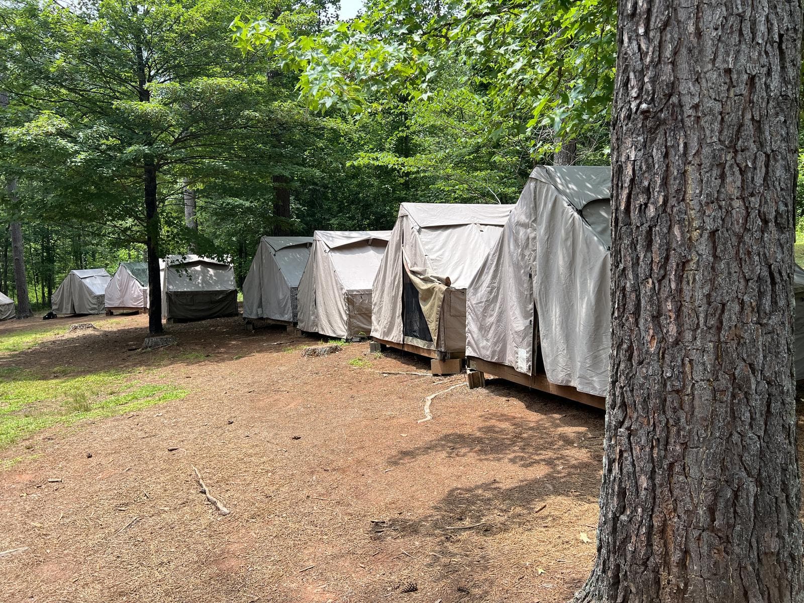 A row of tents pitched at a troop campsite in the morning light